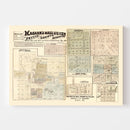 Vintage Map of Pettis County, Missouri 1872