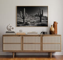 Sentinels of the Sonoran