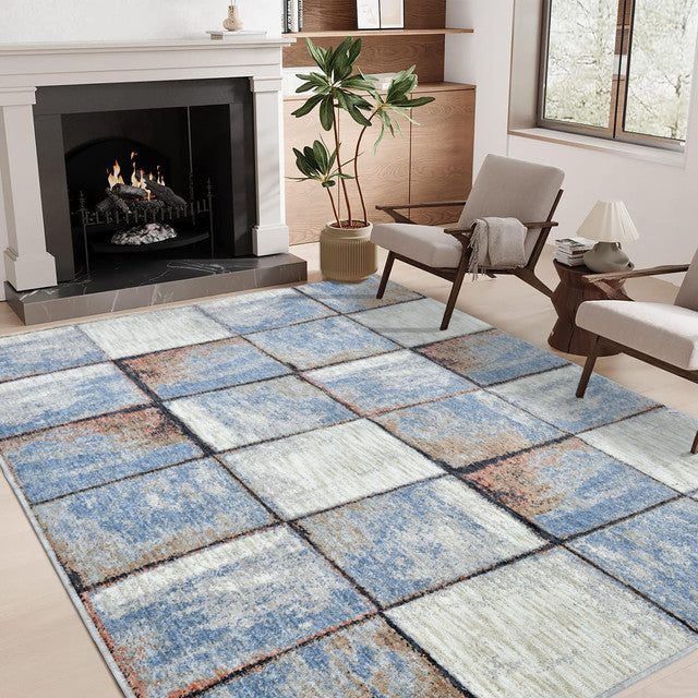 Sussex Home Novelty Collection Area Rug, Extra Soft and Comfy Carpet, Area Rugs for Living Room Rug, Indoor Rug, Blue&Gray