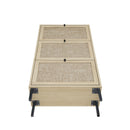 Modern Rattan 3 Door Shoe Rack Cabinet for Entryway