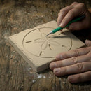 Sand Dollar Drink Coasters by McCarter Coasters