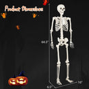 5.4 FT Halloween Skeleton Decoration Life Size Large Skeleton by LJGDeals