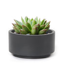 8.75 inch Charcoal Fiberstone Ceramic Pot