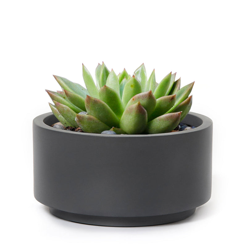 8.75 inch Charcoal Fiberstone Ceramic Pot