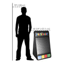 WinSpin 41x25 Custom Prize Drop Disk Drop Game Board Plinking by yescomusa