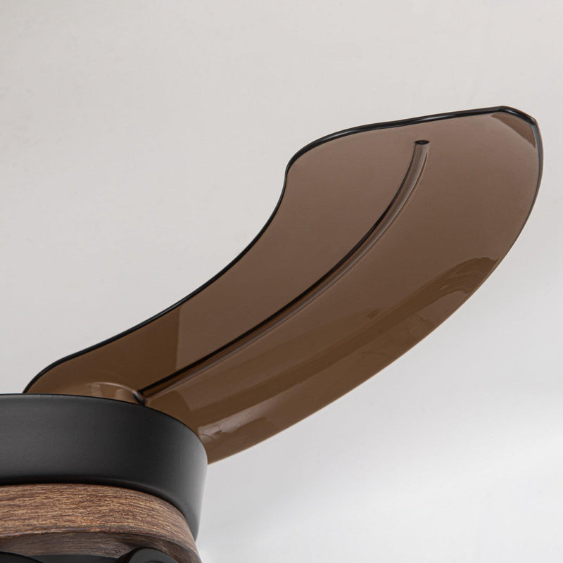 36" Mirelle Farmhouse Downrod Mount Ceiling Fan with Lighting and Remote Control