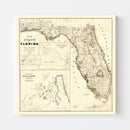 Vintage Map of Florida 1846