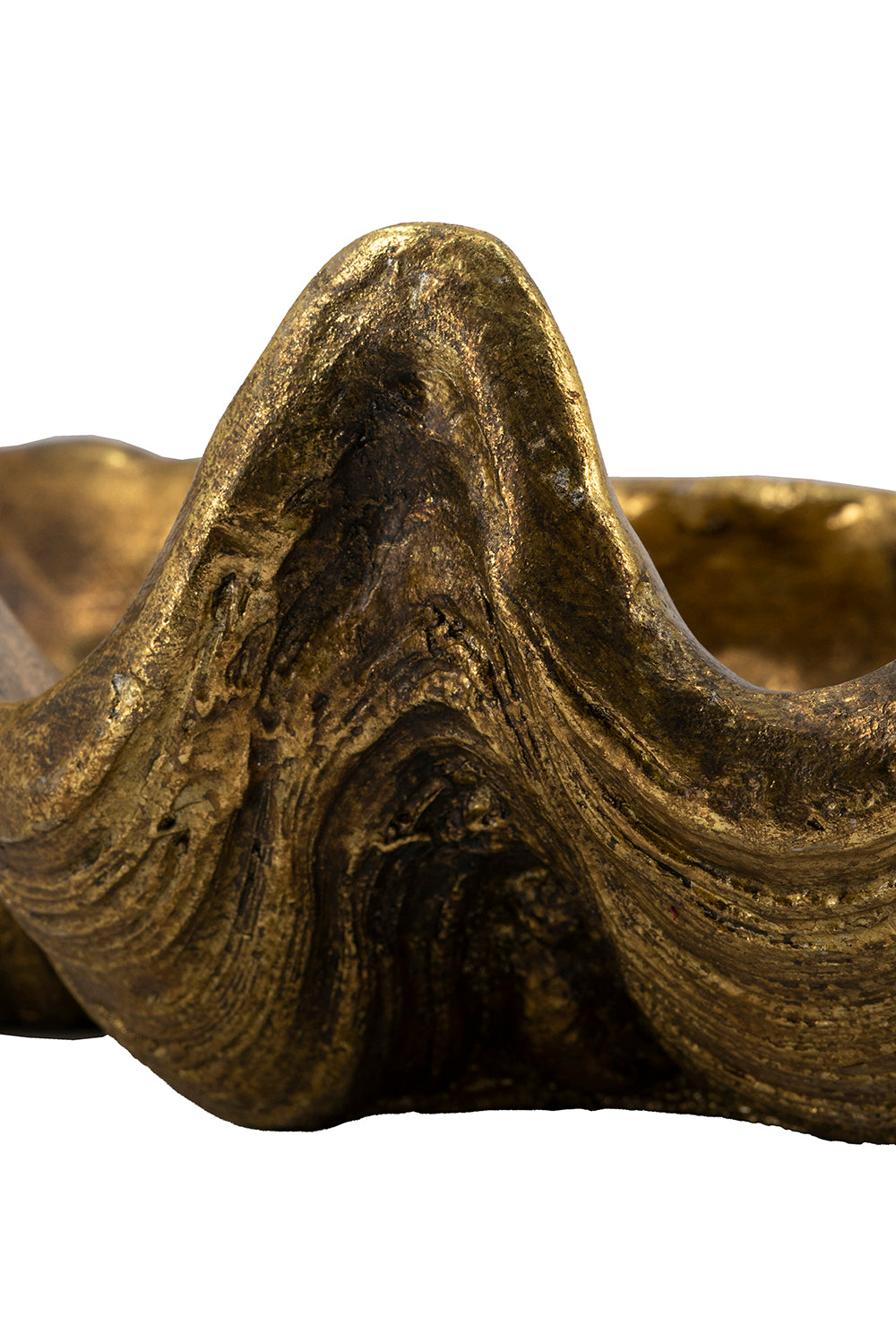 19.7x10.6x5.5" Decorative Shell Bowl, photo 6 of 9