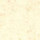 Vintage Map of Hawaii 1893