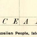 Vintage Map of Hawaii 1893