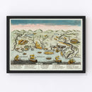 Vintage Map of Louisiana 1770
