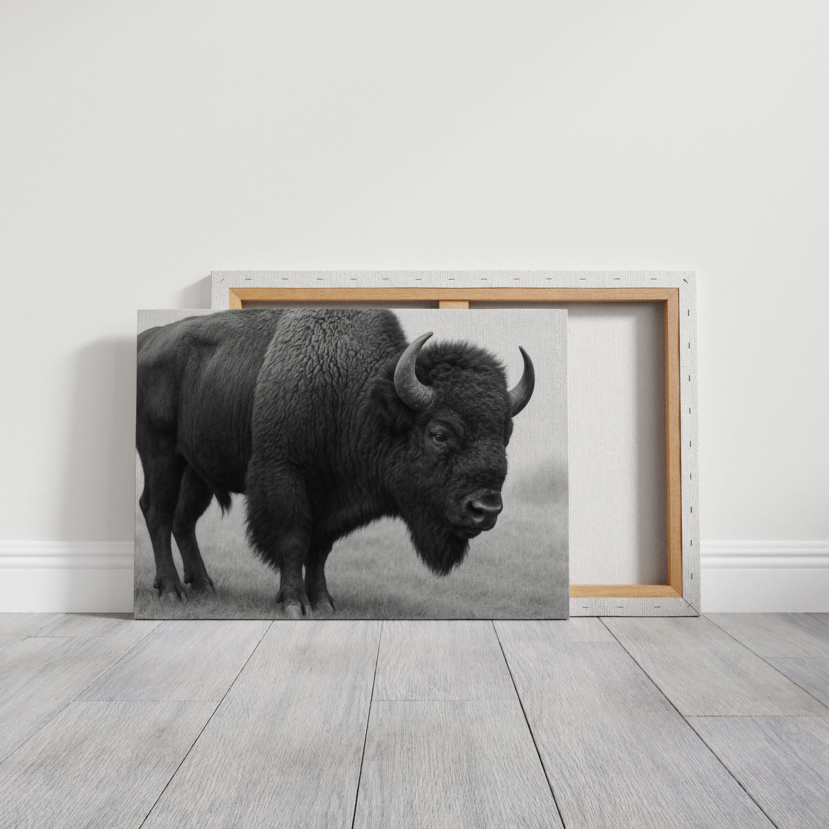 American Bison, photo 12 of 16