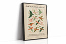 Look at the Birds of the Air Print