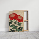 Red Chrysanthemum Elegance