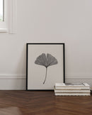 Ginkgo Leaf