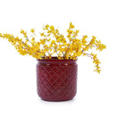 3 Pieces Ceramic Flowerpot Set, Bean Paste Red by HouseOfZazla