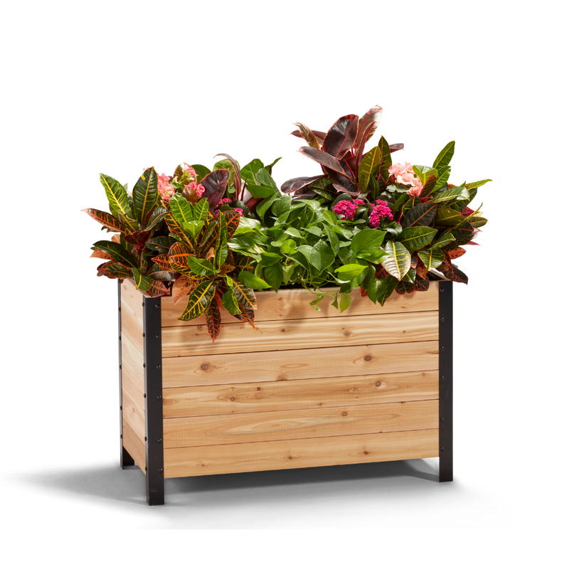 18" x 36" Planter Box - 24" TALL