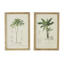 Tree Framed Print (Set of 2) - Multicolor by Unique Piece Furniture