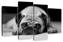 Sad Pug Wall Art
