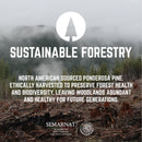 RESTORE Sunset Cedar Solid Live Edge Wood Console Table