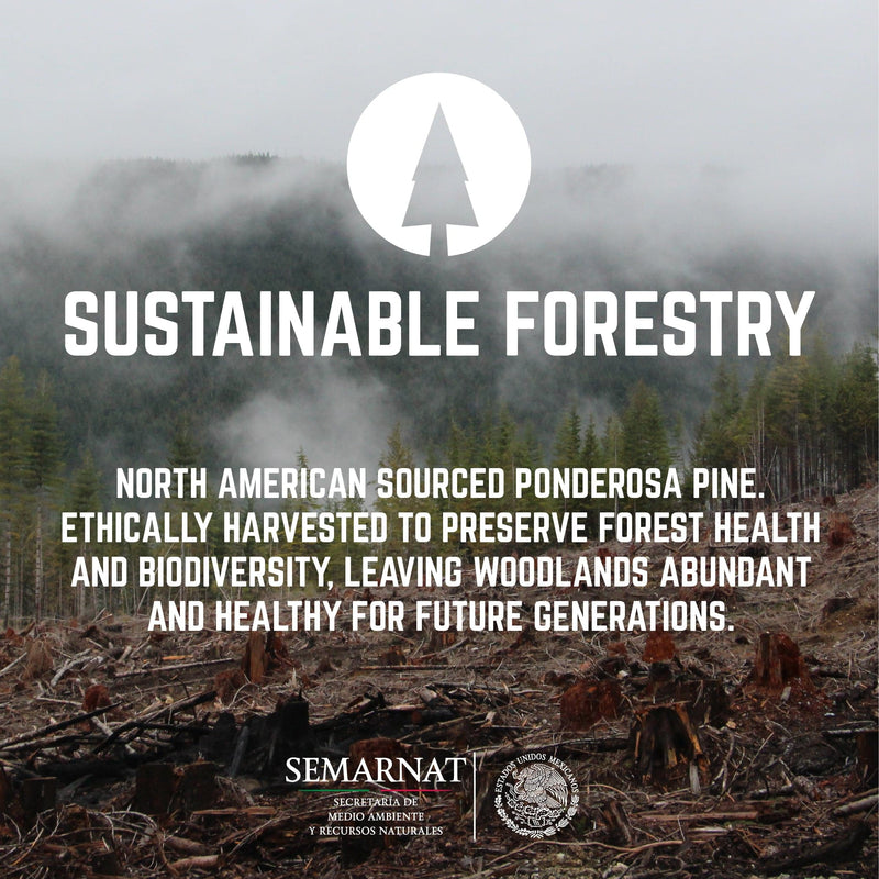 RESTORE Sunset Cedar Solid Live Edge Wood Console Table