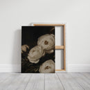 Ivory Roses in Baroque Shadow