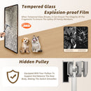 Frameless Single Sliding Shower Door With Handle