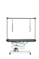 43 Inch Adjustable Heavy Type Hydraulic Pet Dog Grooming Table Upgraded Professional Drying Table Heavy Duty Frame with Adjustable Arm and Noose