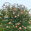 4 Pack Metal Garden Trellis