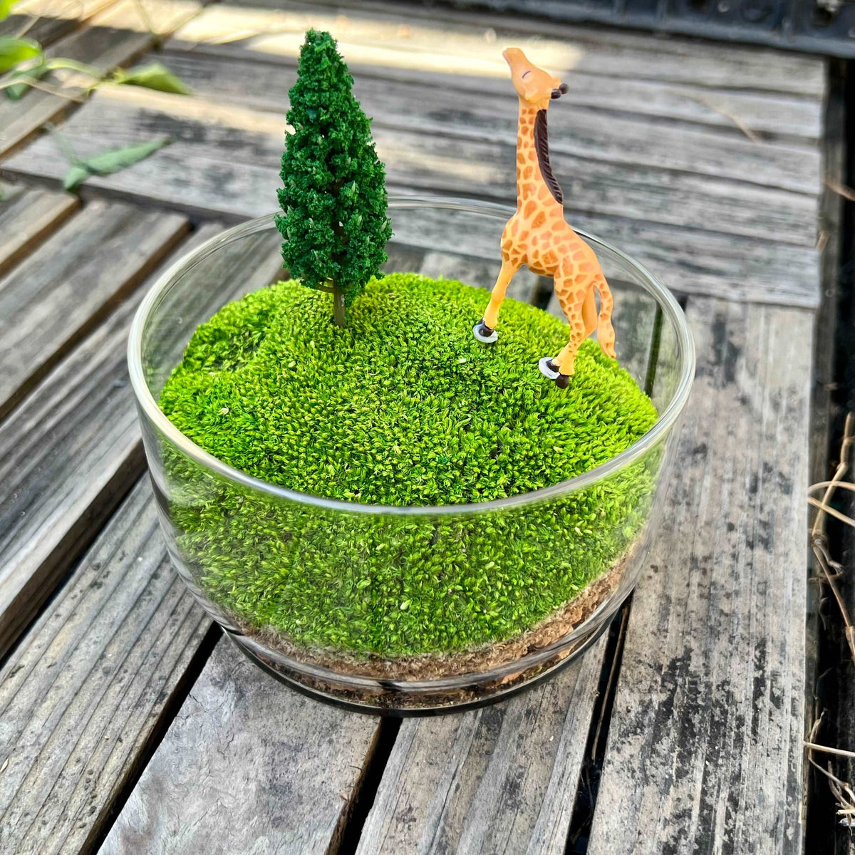 Handmade Terrarium Mini Giraffe Desktop Decoration Micro Landscape Lawn Handmade Preserved Moss Art Handcrafted Glass Container, photo 8 of 8