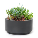 7 inch Charcoal Fiberstone Ceramic Pot