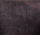 Sagat - Accent Chair - Antique Ebony Top Grain Leather & Rustic Oak