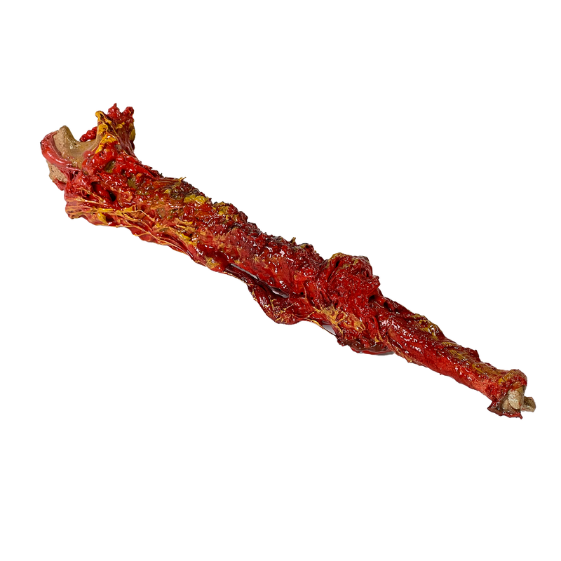 Realistic Ulna Bone Lightweight Rigid Foam - with Light Gore Effects