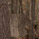 Hunting Blind - Mossy Oak Country Roots 3D Leafy