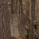 Hunting Blind - Mossy Oak Country Roots 3D Leafy by Nukem Hunting