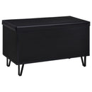 Clackamas - 2 Door Storage Bench With Padded Seat by HouseOfZazla