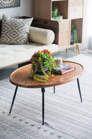 Oval Coffee Table - Brown by Unique Piece Furniture