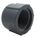 1/2" FPT Cap | 38414