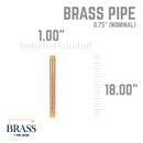 3/4 in. x 18 in. Red Brass Pipe