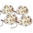 Velvety Pumpkin In Mesh Bag, Bag / 12, For Holiday Harvest Festival Fall Festival & Thanksgiving (Set of 4) - White by HouseOfZazla
