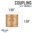 3/4 in. Red Brass Coupling