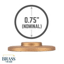 3/4 in. Red Brass Flange