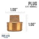 3/4 in. Red Brass Plug