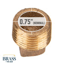 3/4 in. Red Brass Plug