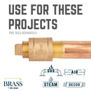 3/4 in. Red Brass Plug