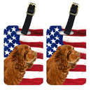 USA American Flag with Sussex Spaniel Luggage Tag