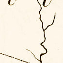 Vintage Map of Vermont 1795