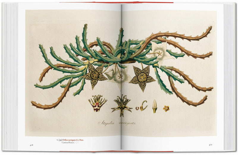 A Garden Eden. Masterpieces of Botanical Illustration. 45th Ed. (Spanish, English, Italian)