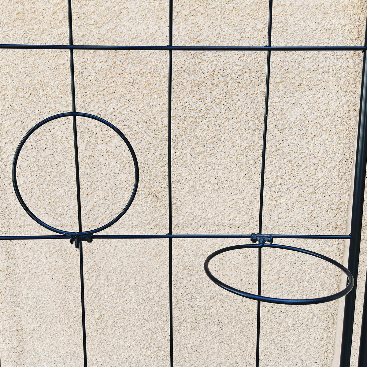 2 Pack Metal Garden Trellis 78.7" x 19.7", photo 8 of 10