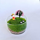 Handcrafted Glass Terrarium Miniature Botanical Garden, Unique Artisan Design, Desktop Decor